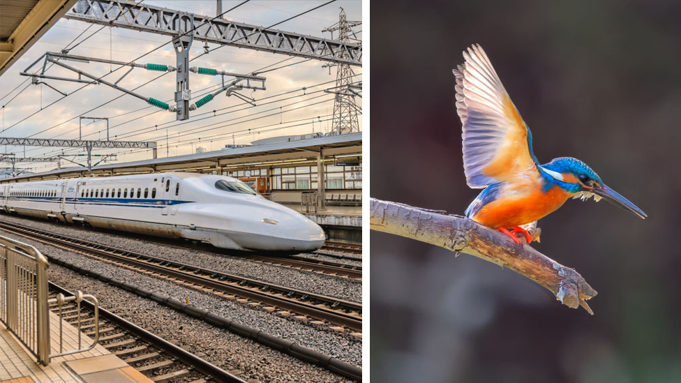 ¿Qué tienen en común el tren bala y el pájaro martín pescador? (Foto Prensa Libre: Getty Images)
