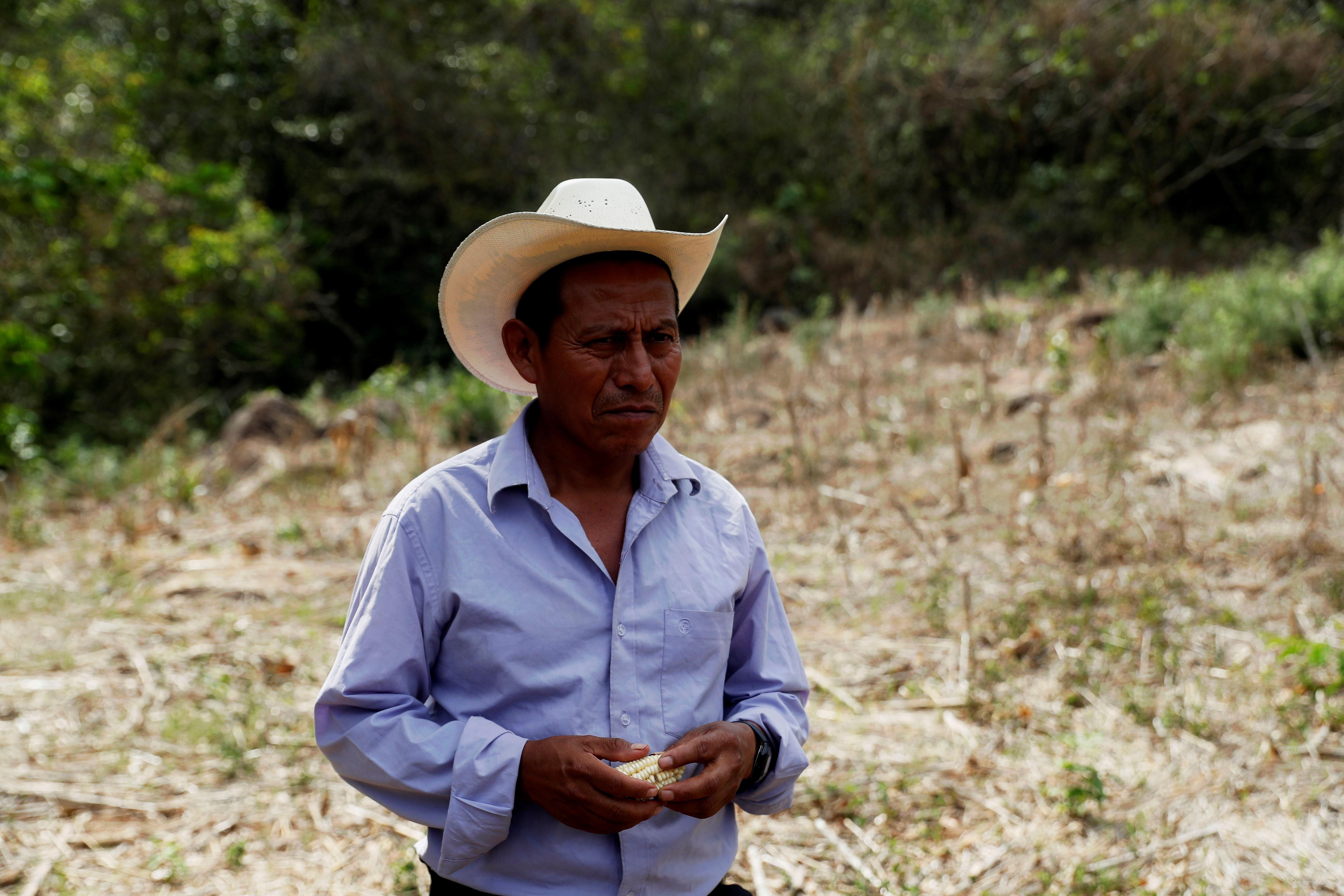 Un campesino de Moyuta, Jutiapa, en su campo que el año pasado se perdió por la canícula prolongada. El cambio climático se ha sumado a los factores que propician la huída de guatemaltecos. (Foto Prensa Libre: Hemeroteca PL)
