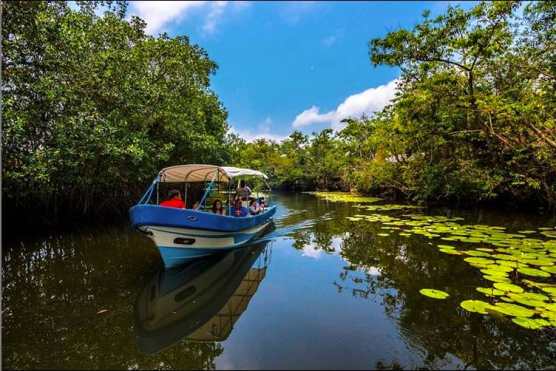 El Jardín de las Ninfas en Izabal. Foto Prensa Libre: @atortola 