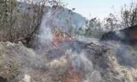 Unas 897 hectáreas de bosque han sido afectadas por el fuego en la última temporada de incendios. (Foto Prensa Libre: Conred).