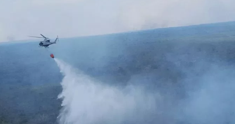 Uno de los incendios forestales registrados en el 2017 en Petén. (Foto Prensa Libre: Hemeroteca PL).