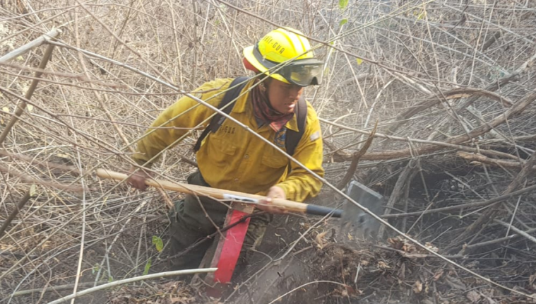 Bombero efectúa tareas de mitigación en uno de los incendios forestales registrados en las últimas horas. (Foto Prensa Libre: Conred).
