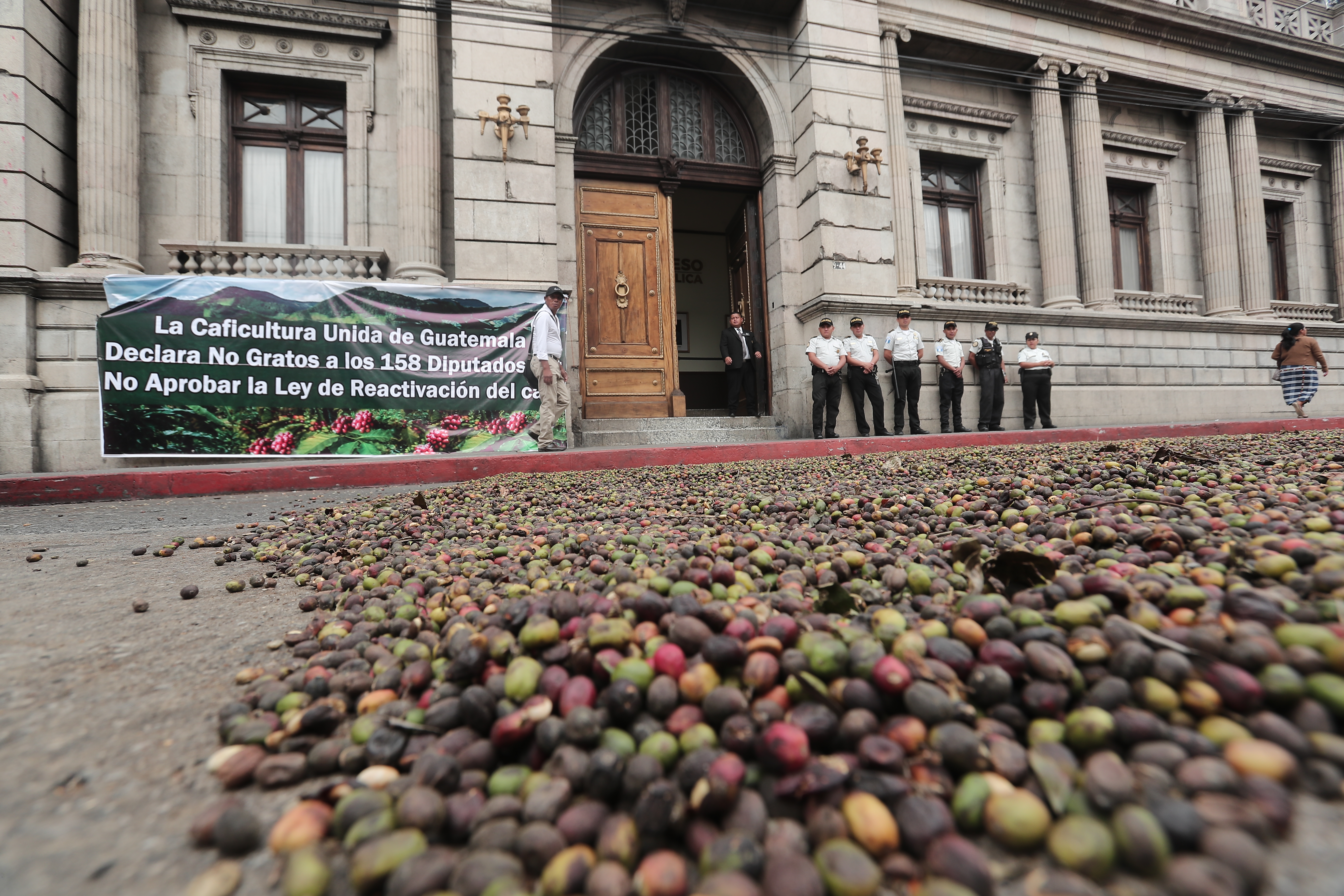 Caficultores señalan que no se irán del Congreso hasta que sea aprobada la iniciativa 5498. (Foto Prensa Libre: Hemeroteca PL)
