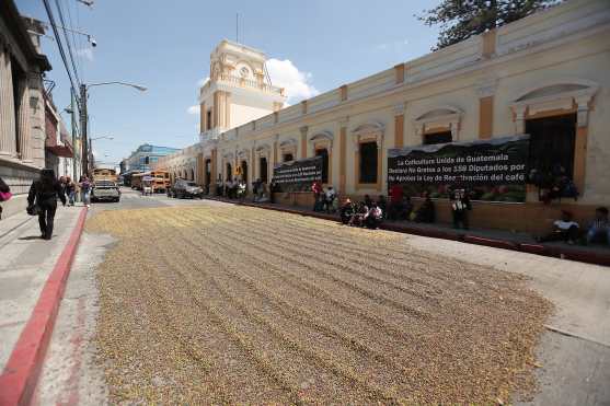 Varios quintales de café fueron puestos al sol, según los productores, para que los diputados vean como los han afectado. Foto Prensa Libre: Érick Ávila