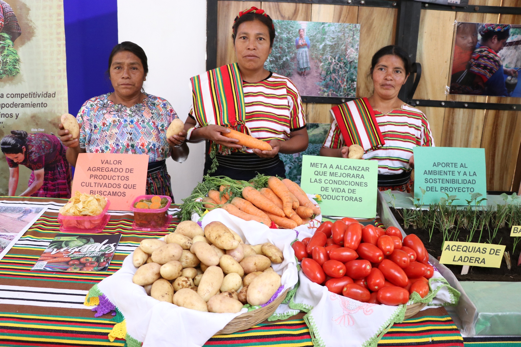 Agricultoras de San Juan Ostuncalco desean conquistar el mercado nacional e internacional. (Foto Prensa Libre; María Longo) 