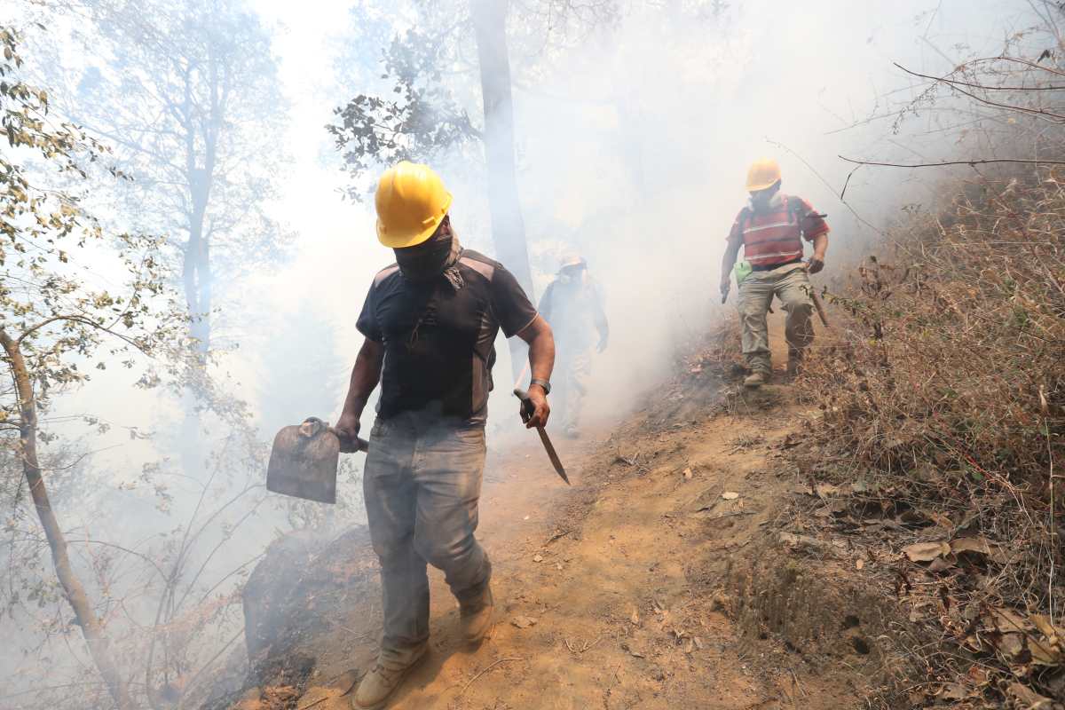 Tres incendios forestales consumen decenas de hectáreas de bosque en Quetzaltenango