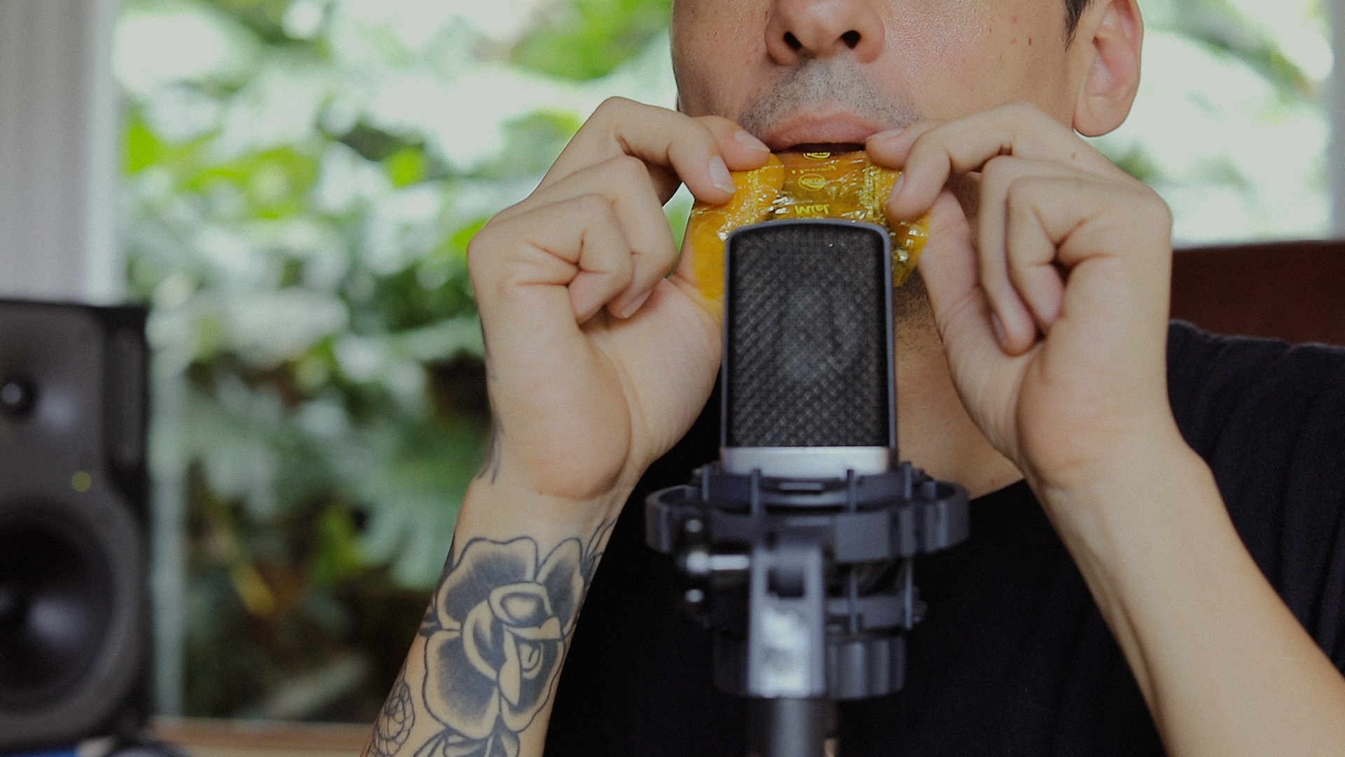 La playlist "Sonidos del futuro océano" se encuentra disponible a partir de hoy, 22 de marzo, en todas las plataformas de streaming. (Foto Prensa Libre: cortesía NatGeo) 