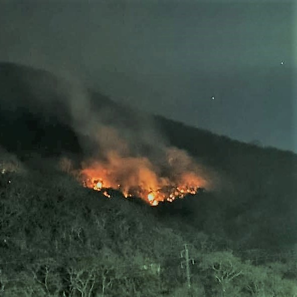 El incendio forestal en el cerro de San Juan Gascón lleva la menos diez días según la Conred.(Foto Prensa Libre: cortesía de Antigua al Rescate)
