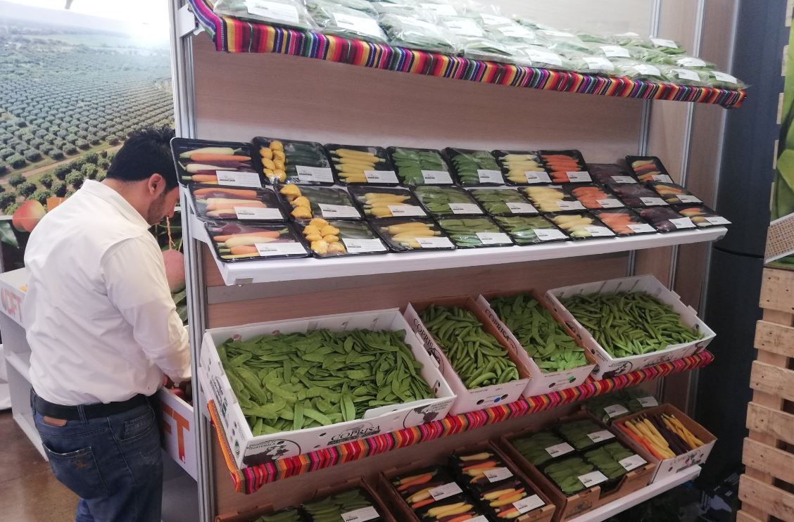 Arándanos, aguacates y minivegetales, los productos que sobresalen durante el Agritrade 2019