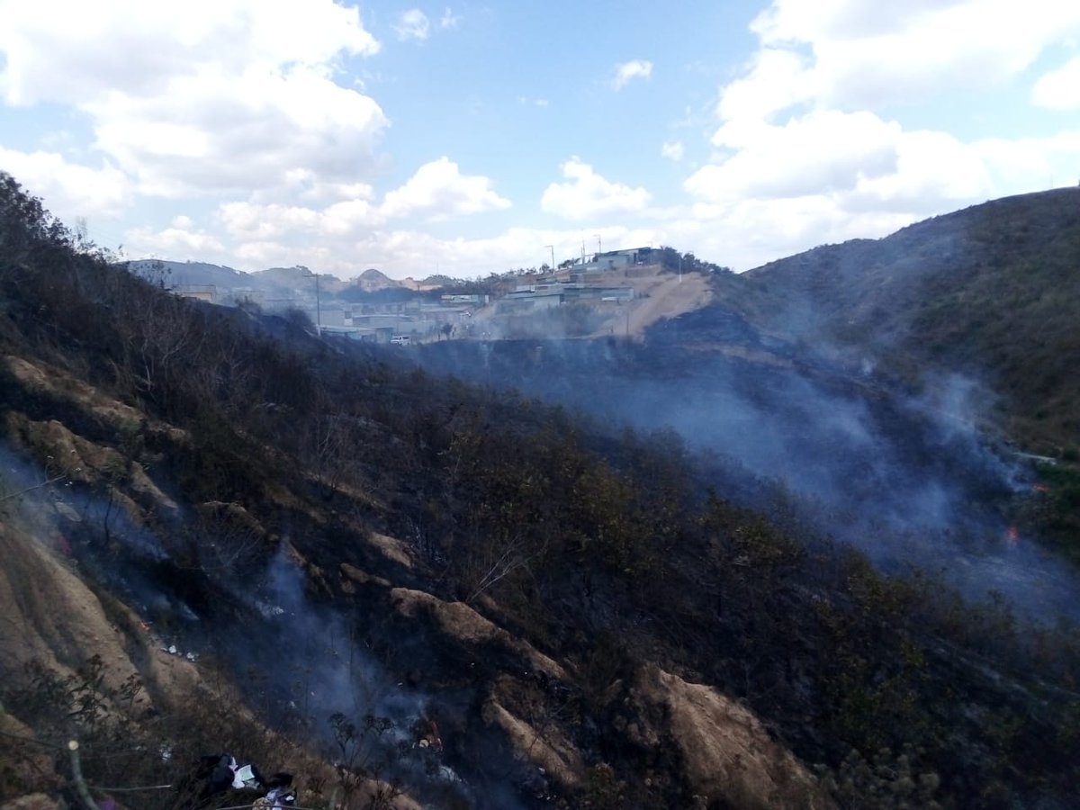 Incendio forestal en la colonia Brisas de San Pedro, sector 1, kilómetro 16.5 de San Pedro Ayampuc. (Foto Prensa Libre: Conred)