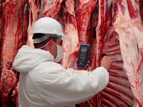 La intención es que Guatemala sea el canal de apertura de carne de Paraguay para Centroamérica. (Foto Prensa Libre:  paraguay.com)