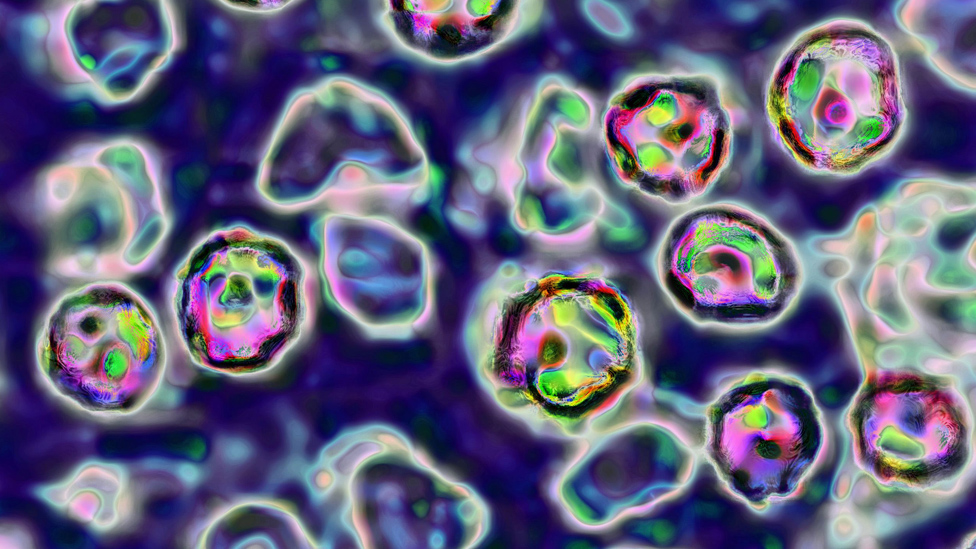 (Foto Prensa Libre: Getty Images)