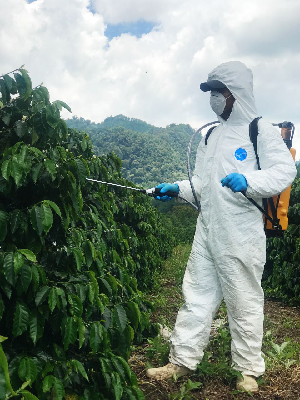 La empresa de capital guatemalteco Foragro, inviritó US$300 en Panamá para la distribución de insumos agrícolas. (Foto Prensa Libre: cortesía Foragro)