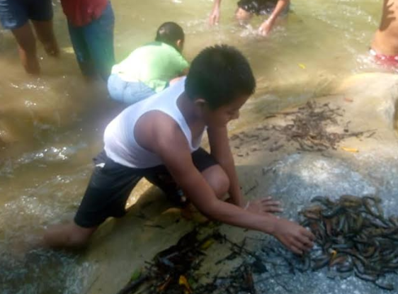 Niños se reúnen en el río Las Lajas para juntar a los animales muertos. (Foto Prensa Libre: Mario Morales). 