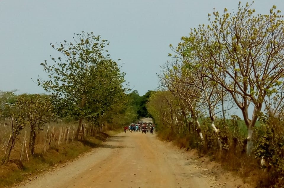 Grupos armados impidieron que las fuerzas de seguridad ingresaran al lugar en el que aterrizó la avioneta que se presume transportó droga. (Foto Prensa Libre: Cortesía) 