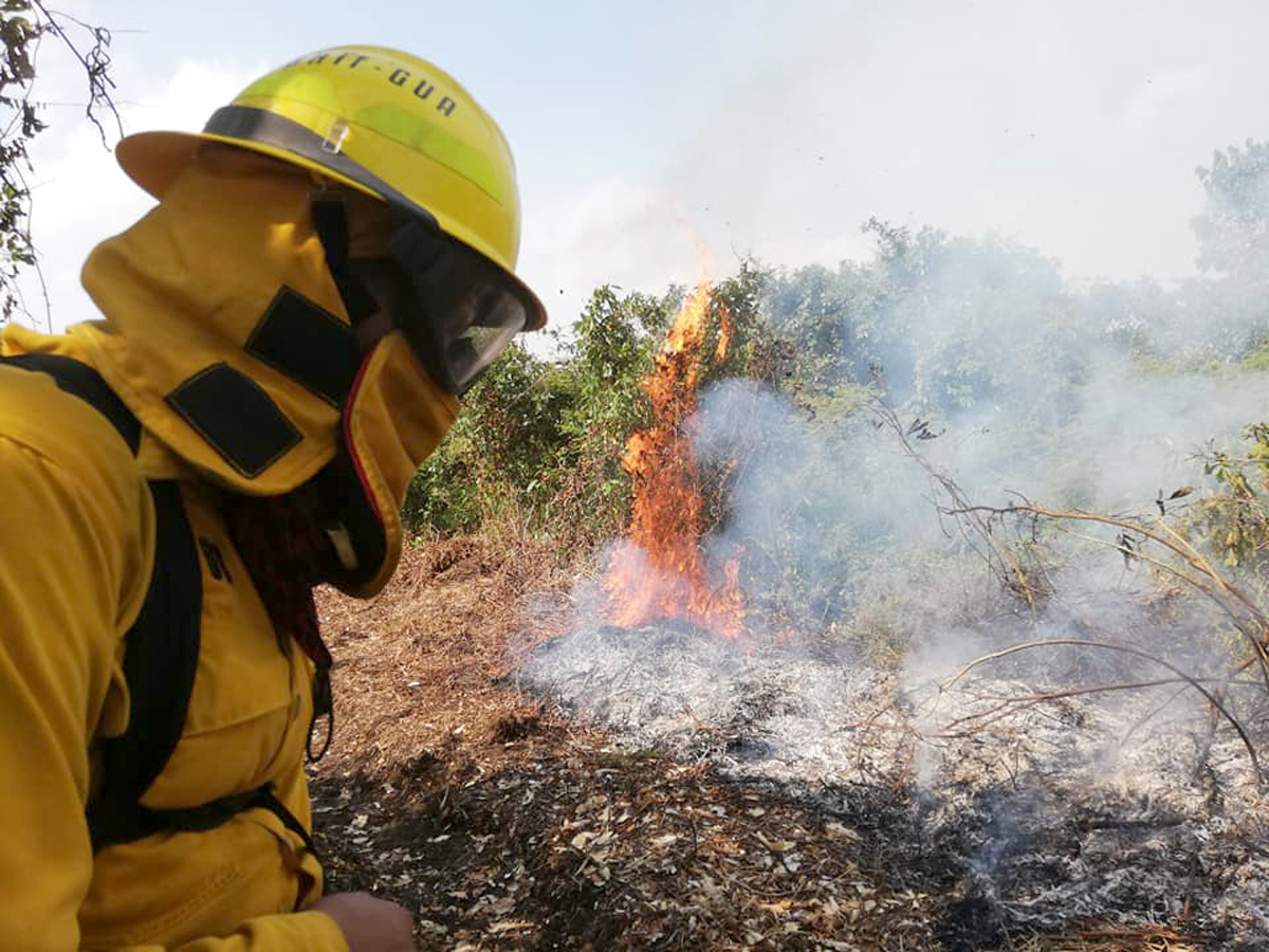 Un brigadista de la Conred intenta sofocar las llamas en Los Amates, Izabal. (Foto Prensa Libre: Dony Stewart)