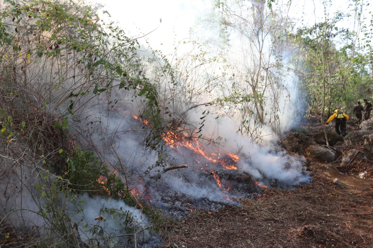 Los incendios forestales han consumido varias hectáreas de bosque en Petén. (Prensa Libre: Hemeroteca PL) 