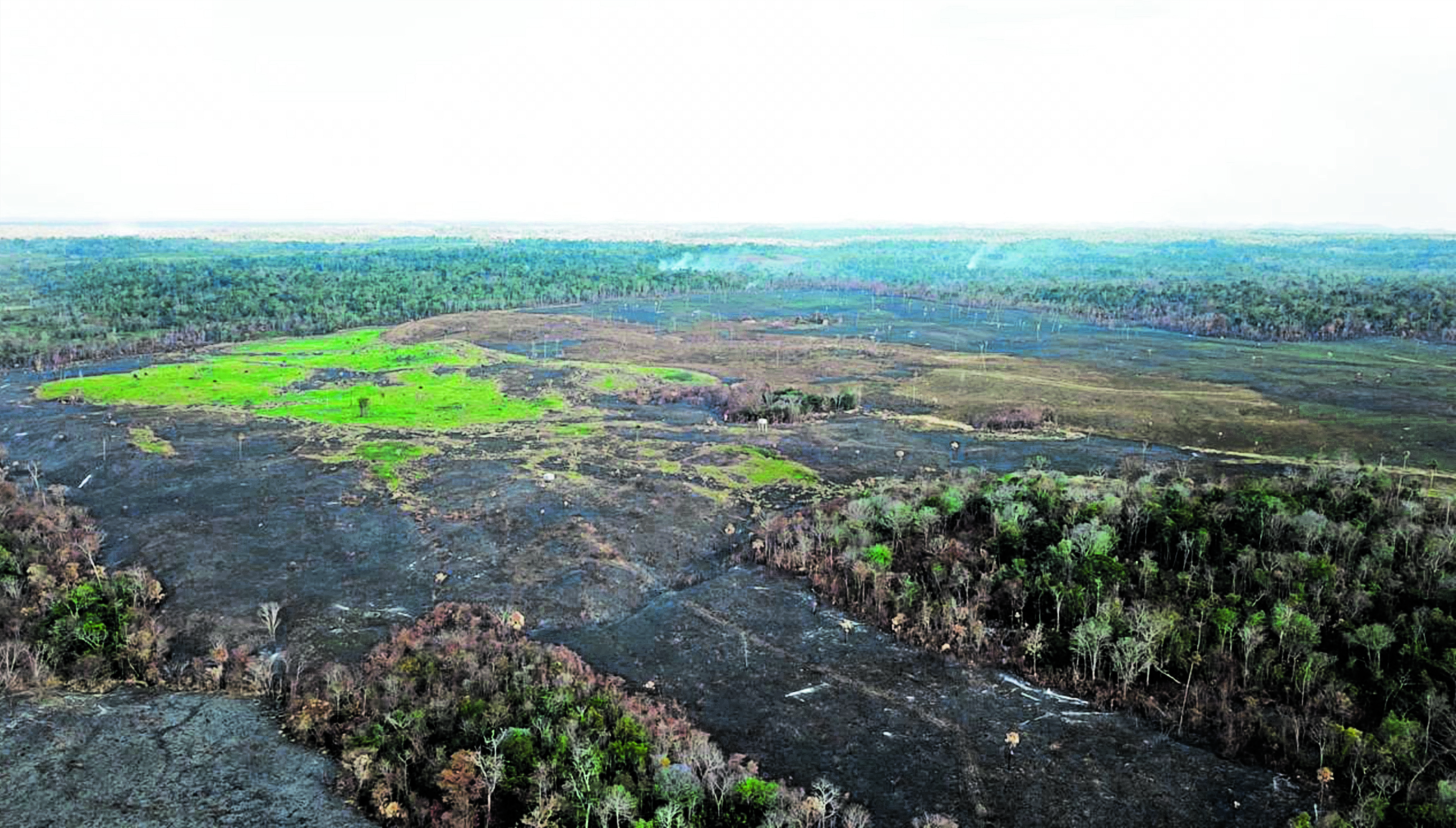 Área de Petén afectada por los incendios forestales.(Foto Prensa Libre: Hemeroteca PL)