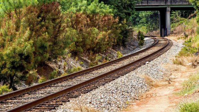 (Foto Prensa Libre: Pixabay)