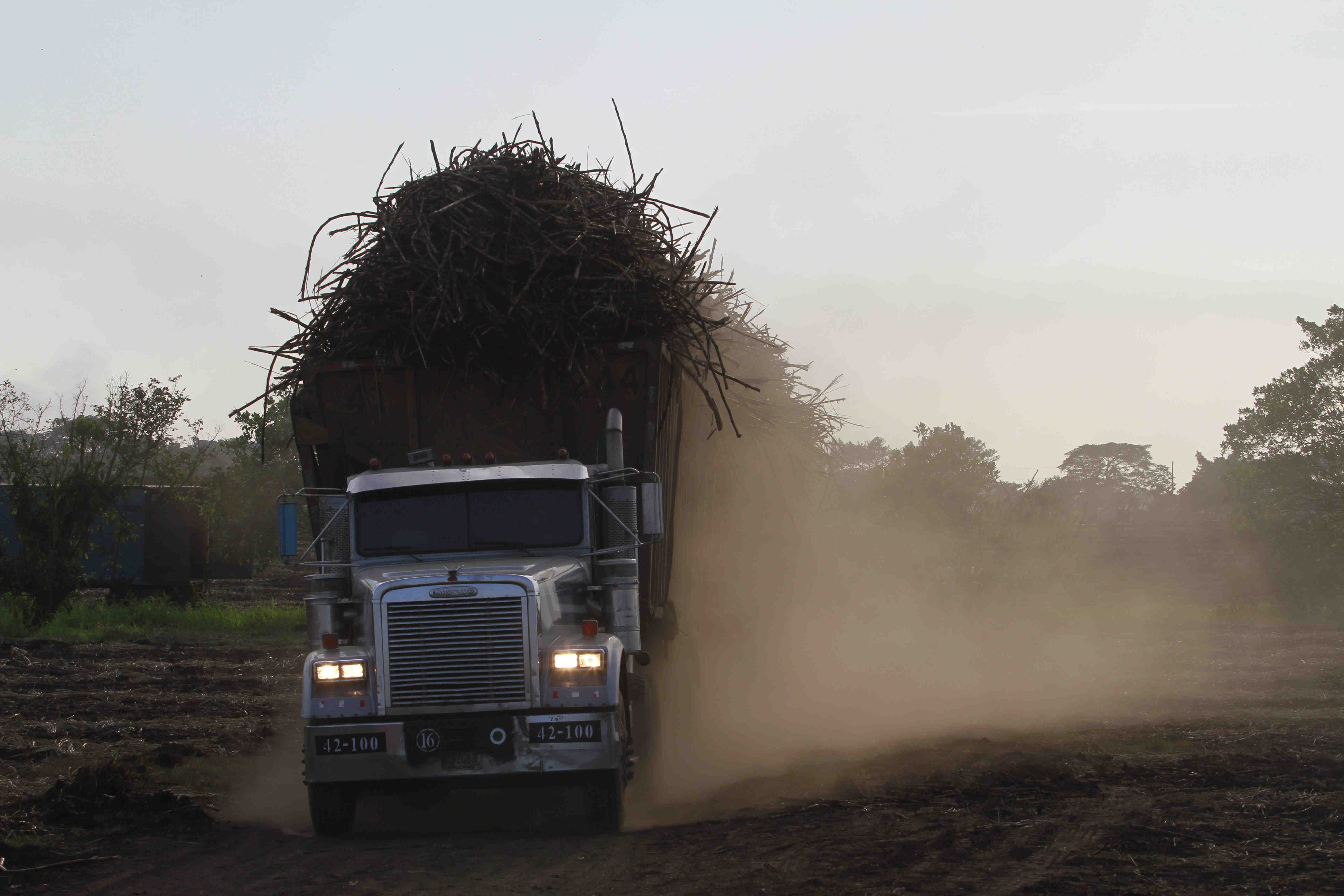 Guatemala despacha azúcar a 58 países y la zafra 2018-19 esta por finalizar con una producción estable. (Foto Prensa Libre: Hemeroteca)