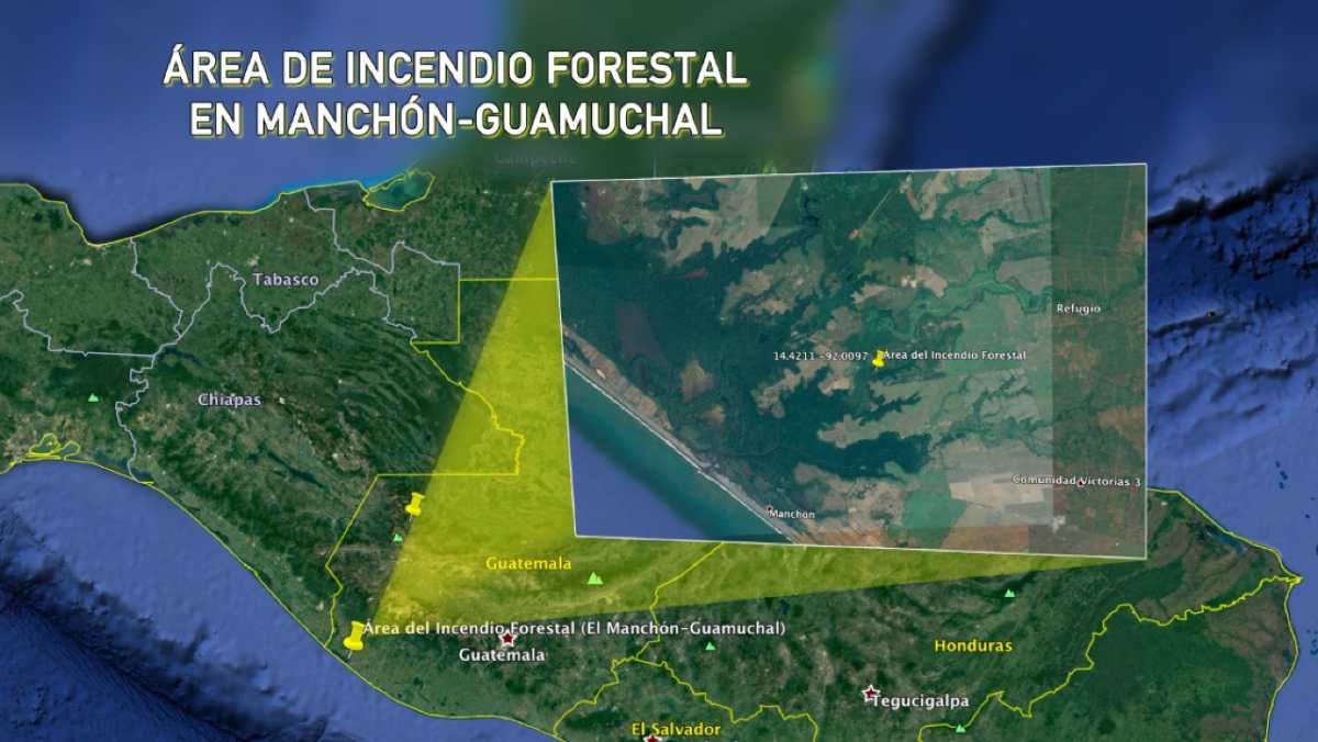 Así es la biodiversidad en Manchón-Guamuchal, donde un incendio forestal ha causado daños