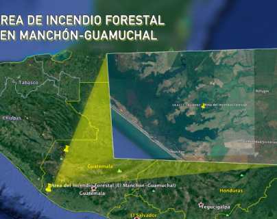 Así es la biodiversidad en Manchón-Guamuchal, donde un incendio forestal ha causado daños