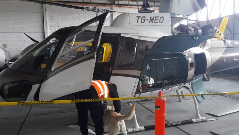 Agentes caninos participan en la inspección del helicóptero TG MEO, propiedad de Mario Estrada. (Foto Prensa Libre: MP)