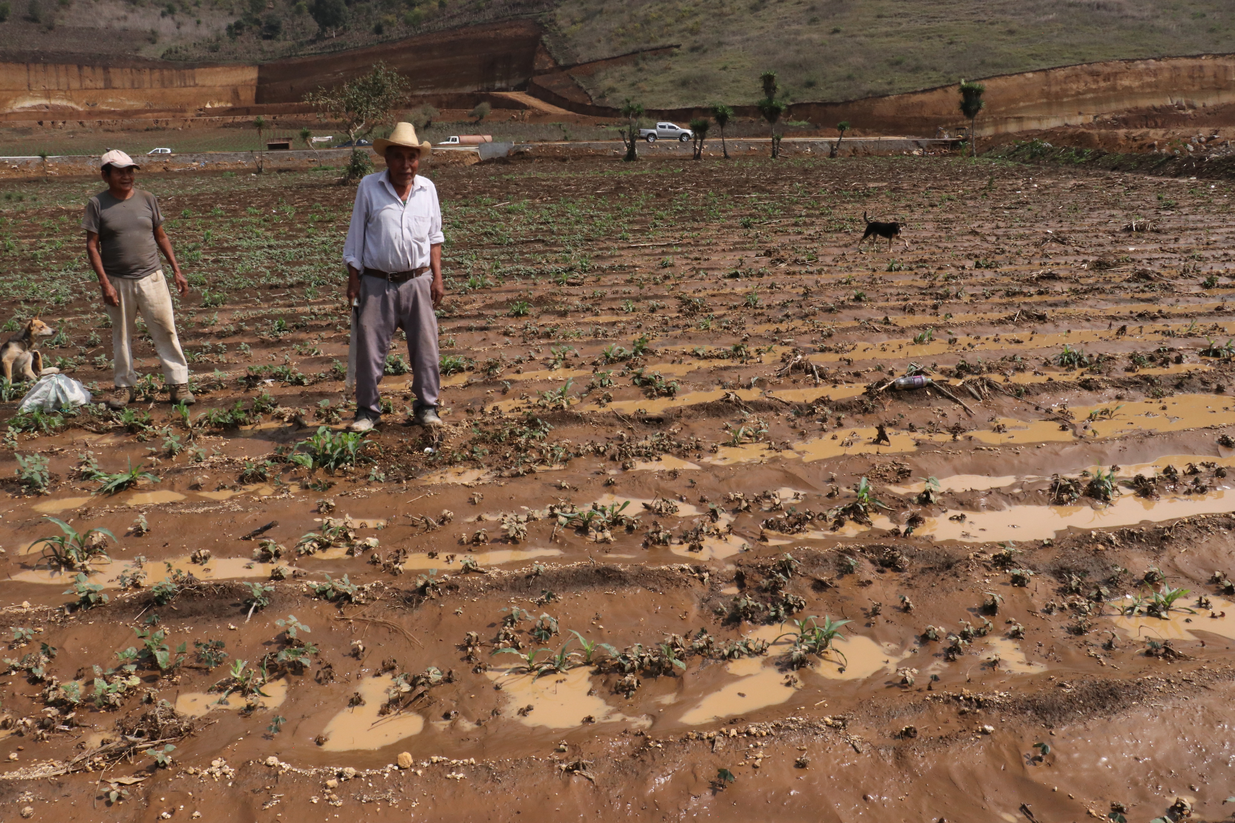 
Grandes extensiones de campos agrícolas fueron dañadas por el agua de lluvia que se acumuló en el Libramiento de Chimaltenango. (Foto Prensa Libre: Víctor Chamalé)
