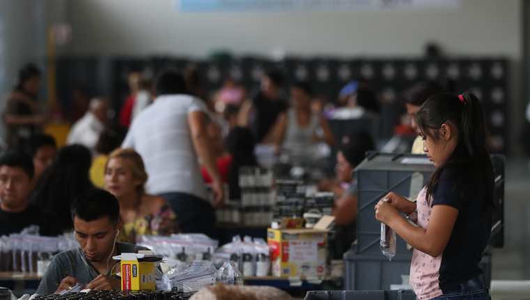En el Centro de operaciones del Tribunal Supremo Electoral (TSE), trabajadores realizan  preparativos que se utilizaran en los centros de votación. (Foto Prensa Libre. Esbin García) 
