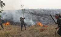 Las bridas del Ejército combaten los incendios forestales en el norte de Petén. (Foto Prensa Libre: Ejército de Guatemala) 