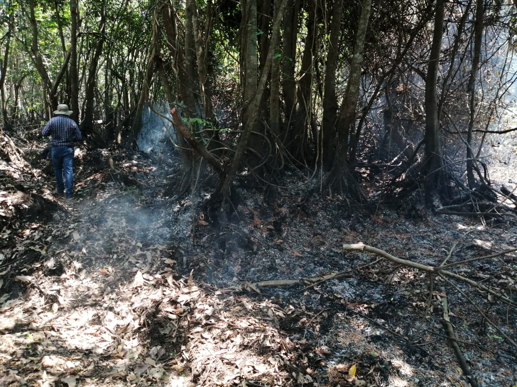 El fuego consume varias hectáreas de mangle en el Manchón Guamuchal, Retalhuleu. (Foto Prensa Libre: Rolando Miranda)