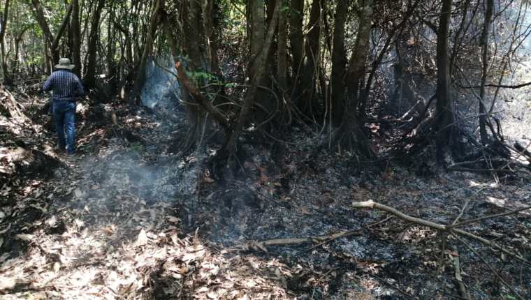 El fuego consume varias hectáreas de mangle en el Manchón Guamuchal, Retalhuleu. (Foto Prensa Libre: Rolando Miranda)