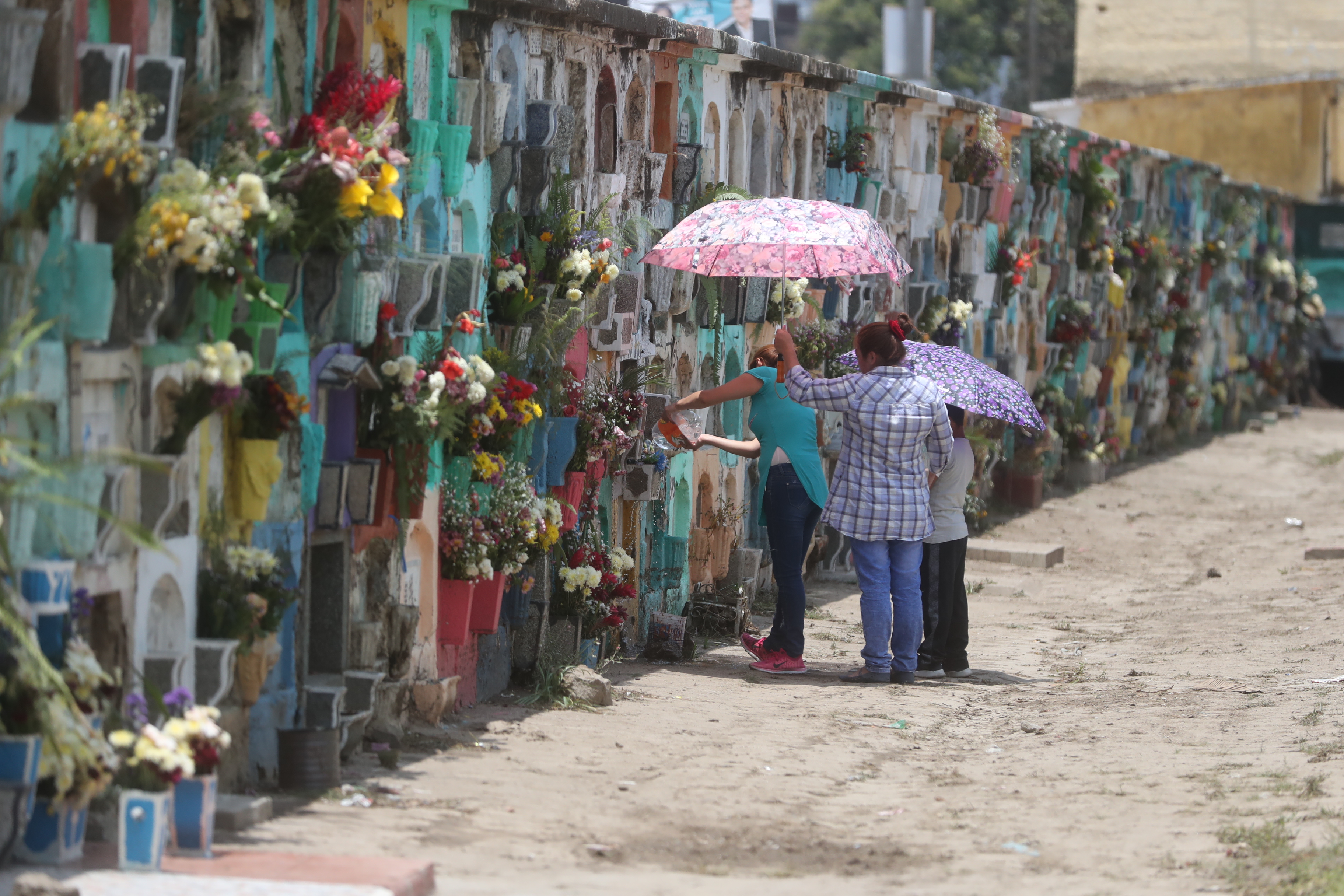 Por falta de pagó exhumarán cien cadáveres en el cementerio general. (Foto Prensa Libre: Mynor Toc)  