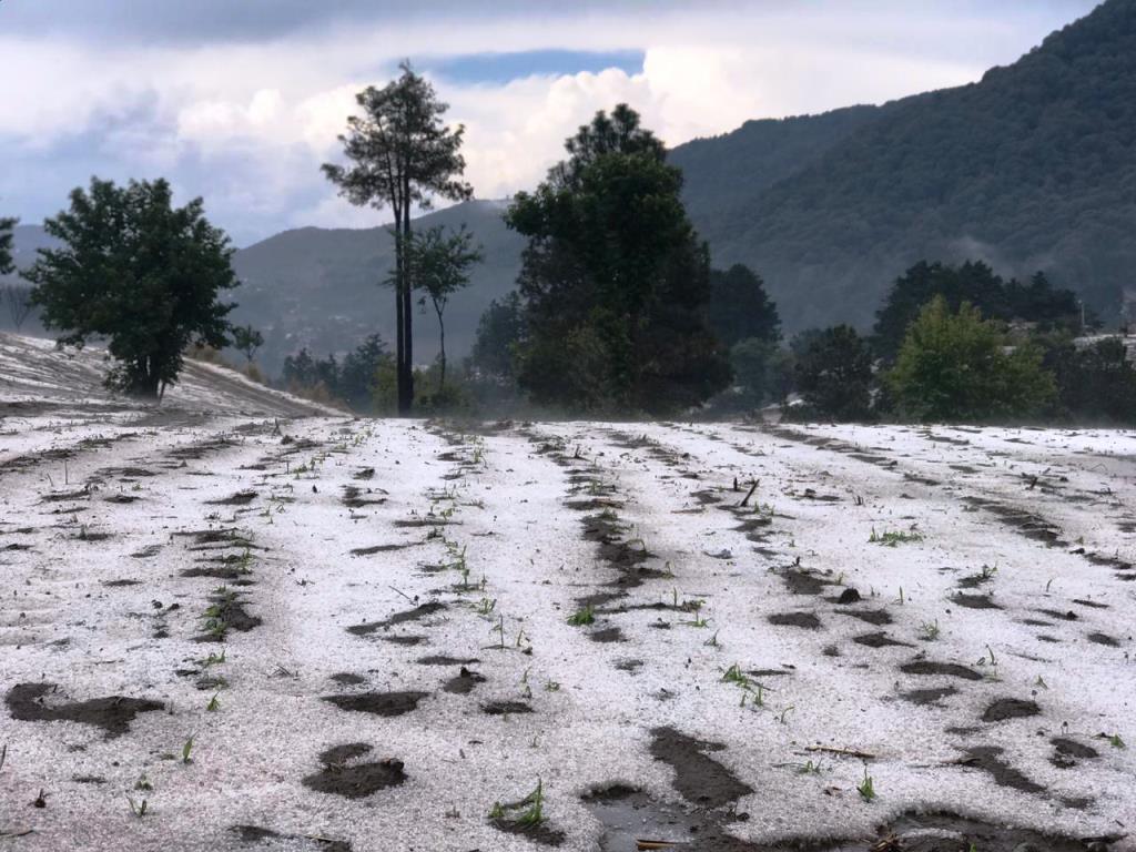 Granizo que cayó en Sija cubrió los campos de blanco y ofreció un espectáculo único. (Foto Prensa Libre: Yesenia Rodas)