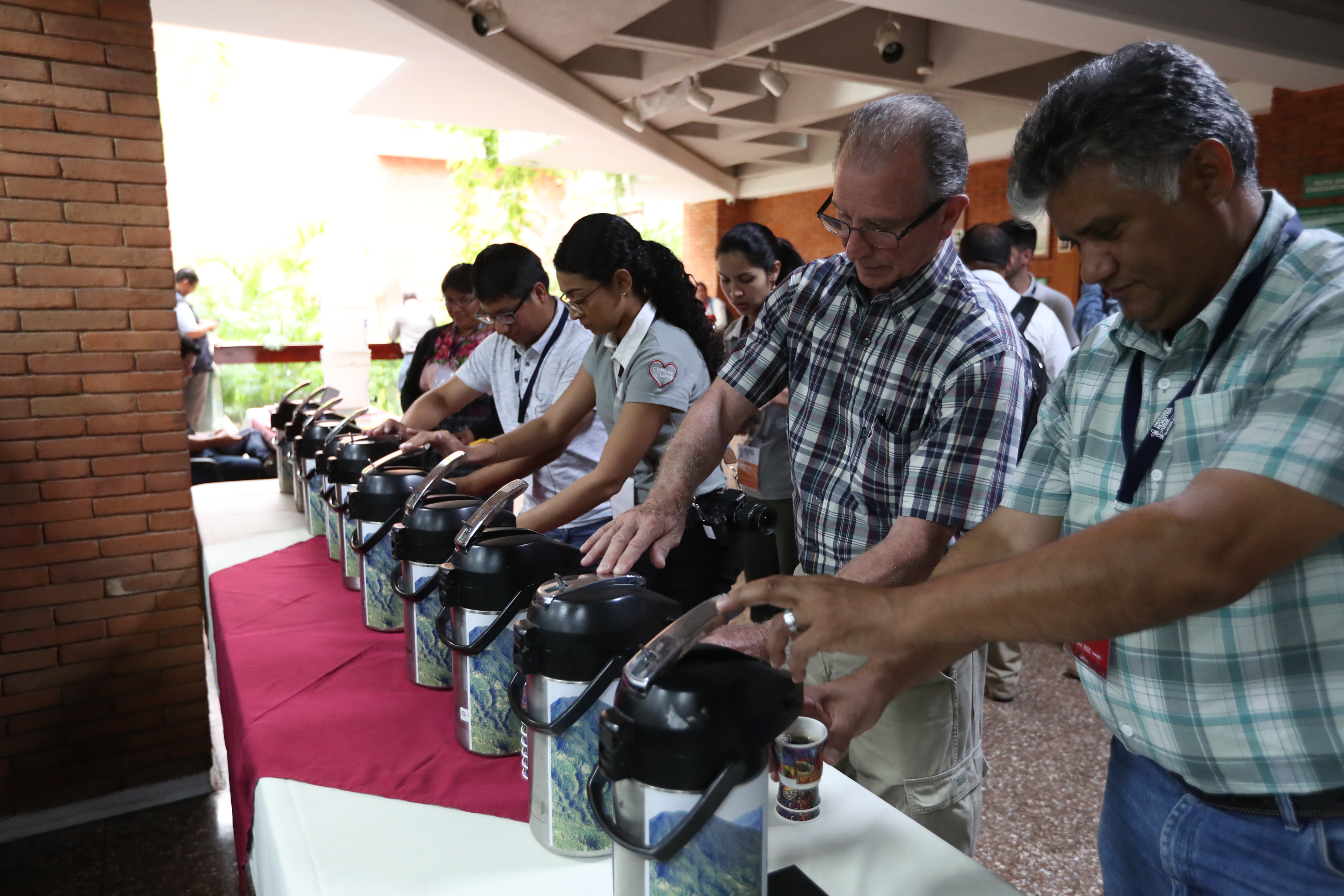 El año cafetero finaliza el próximo 30 de septiembre y se espera cerrar 4.3 millones de quintales de exportación de café oro en la cosecha 2019-20. (Foto Prensa Libre: Hemeroteca) 