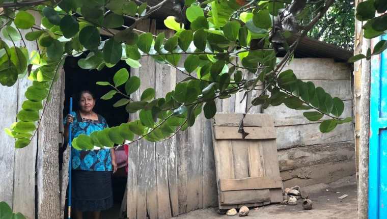 Clara Sanán, hermana de Victorina, a quien esta considera su madre, recibió a Univisión en una aldea de Santo Domingo, Suchitepéquez. (Foto: Univisión)