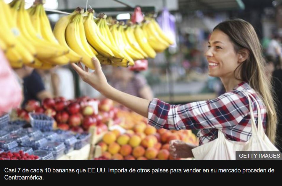 Casi 7 de cada 10 bananas que EE.UU. importa de otros países para vender en su mercado proceden de Centroamérica. 