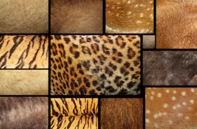 La marca de lujo italiana, Prada, dejará de emplear pieles de animales en sus productos. (Foto Prensa Libre: Shutterstock)