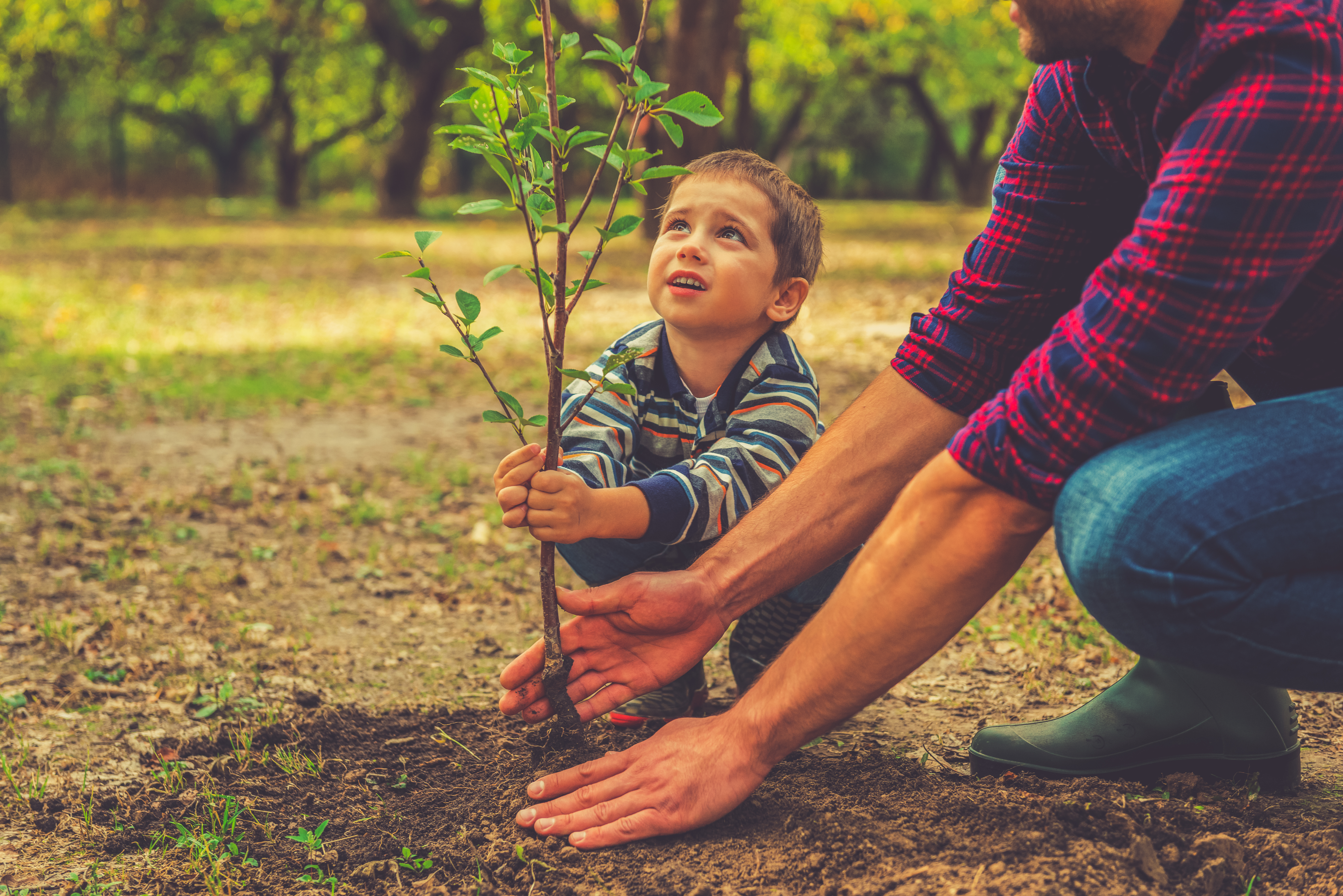 Посадить дерево ветками. Дети и природа. Человек заботится о природе. Дети заботятся о природе. Доброта к природе.