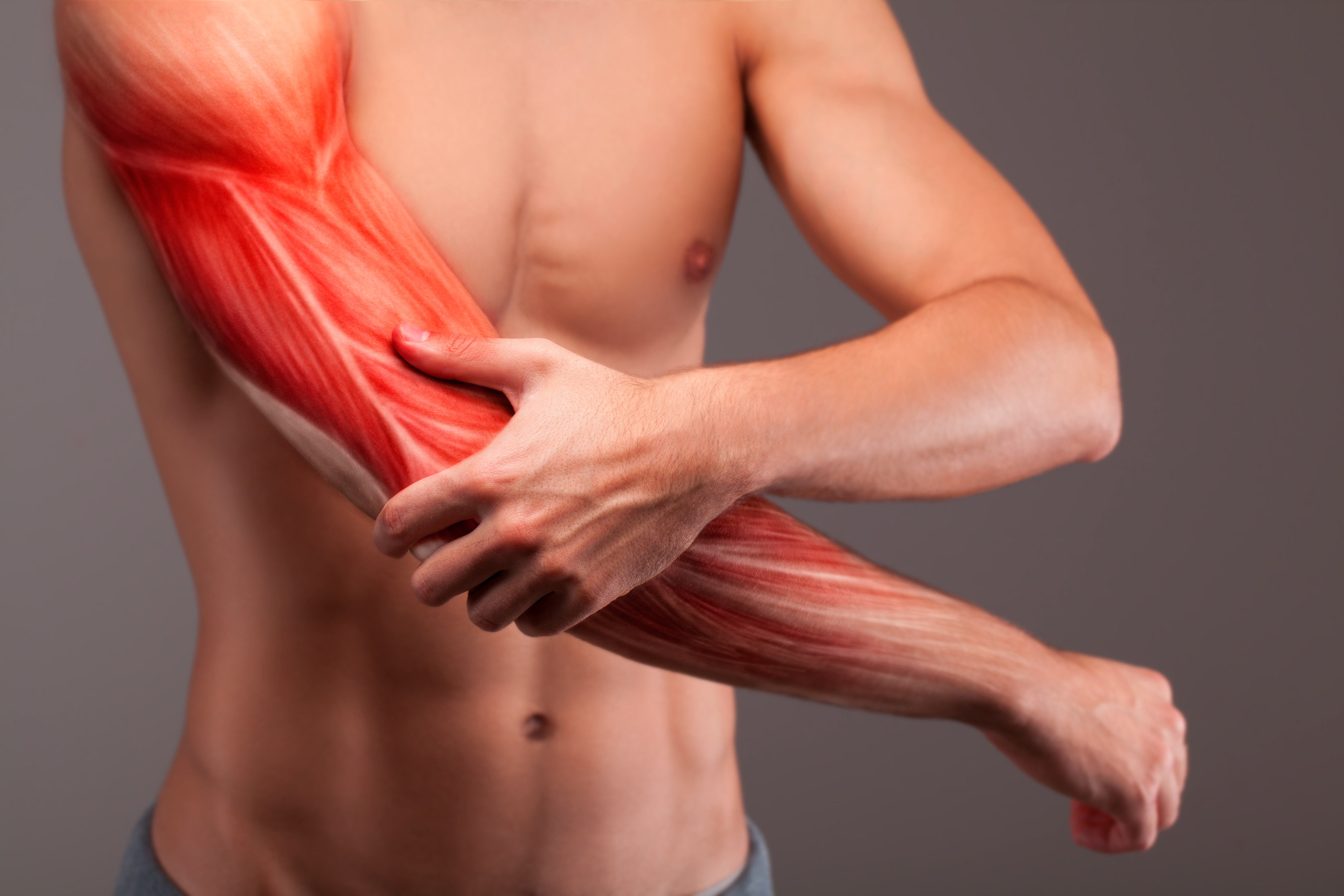Изменение мышц и сухожилий