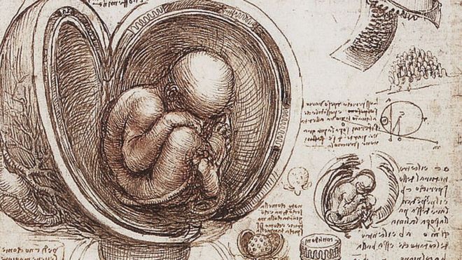De todos los famosos estudios anatómicos de Leonardo da Vinci, aquellos vinculados al corazón fueron los más relevantes para la ciencia. (Foto Prensa Libre: Getty Images)