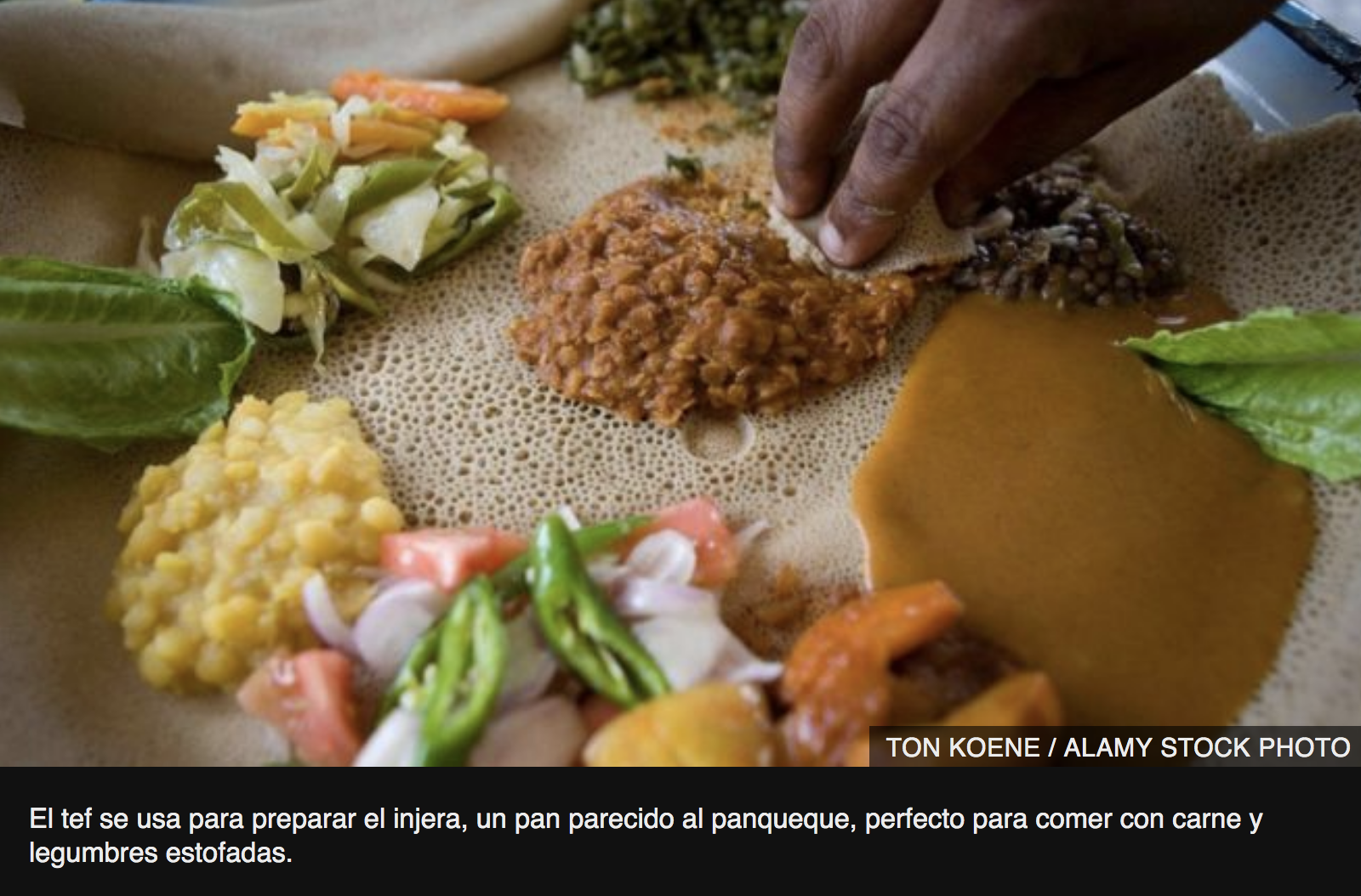 (Foto Prensa Libre: Ton Koene/Alamy Stock Photo)