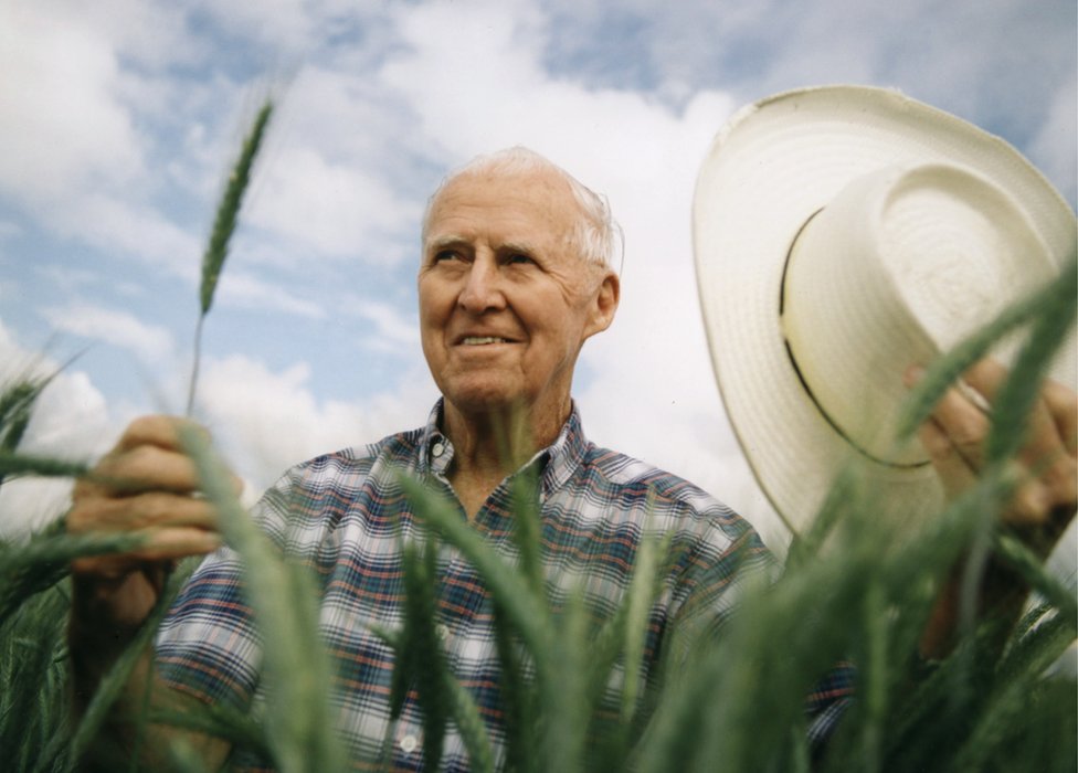 Norman Borlaug es reconocido mundialmente por haber salvado a millones de personas del hambre. (Foto Prensa Libre: Getty Images)
