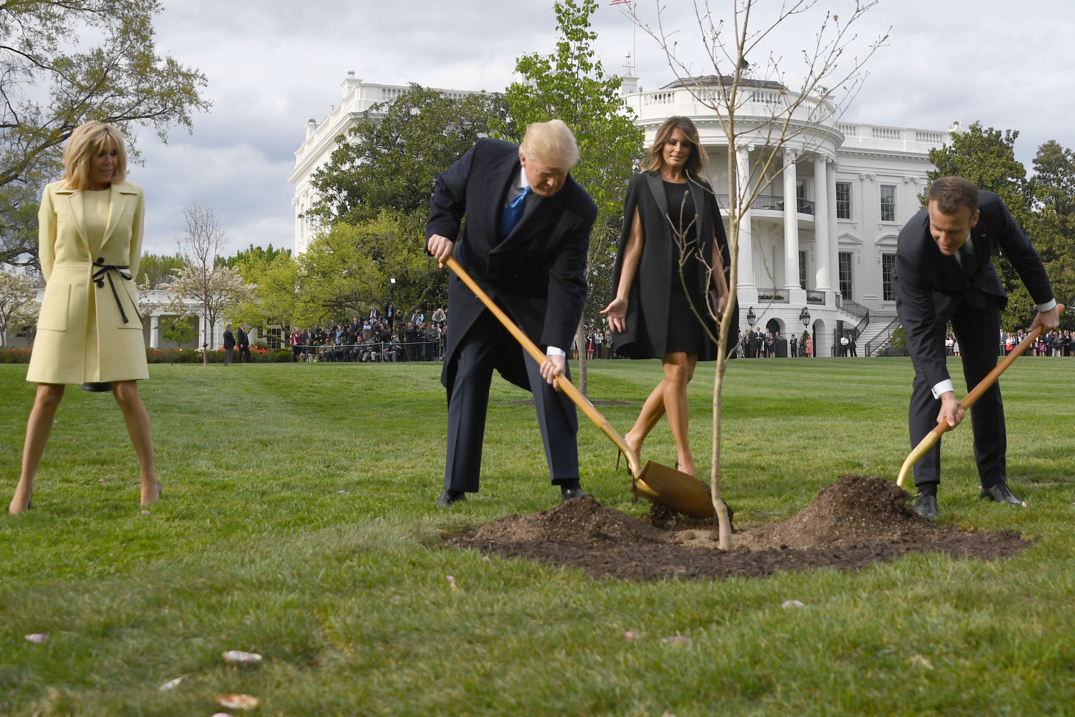 Donald Trump y Emmanuel Macron plantaron un un árbol en abril de 2018 en la Casa Blanca.  (Foto Prensa Libre: AFP)