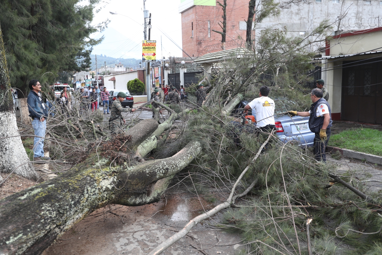 El pasado 6 de junio más de 20 árboles cayeron sobre vehículos y edificios, la mayoría eran de la zona 3. (Foto Prensa Libre: María Longo) 