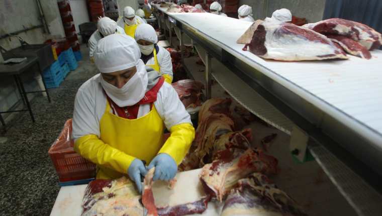 Argentina tiene interés de abastecer de carne bovina a Guatemala, sin embargo, no se puede realizar por medidas sanitarias. (Foto Prensa Libre: Hemeroteca)