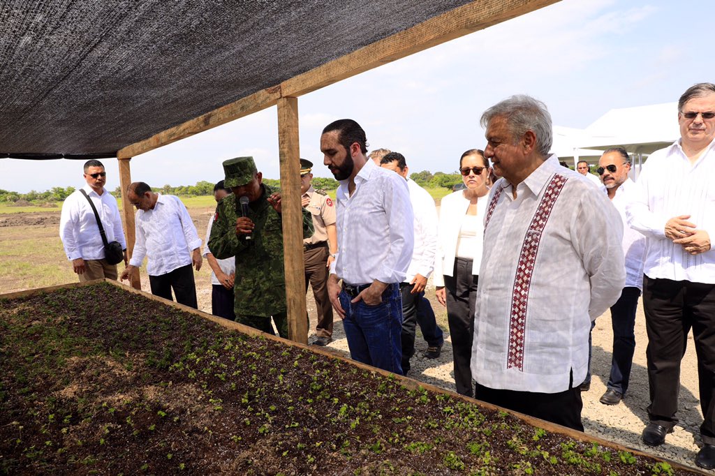 Bukele y López Obrador conocen cómo se gestiona el plan Sembrando Vidas, en Tapachula. (Foto Prensa Libre: Presidencia de El Salvador)