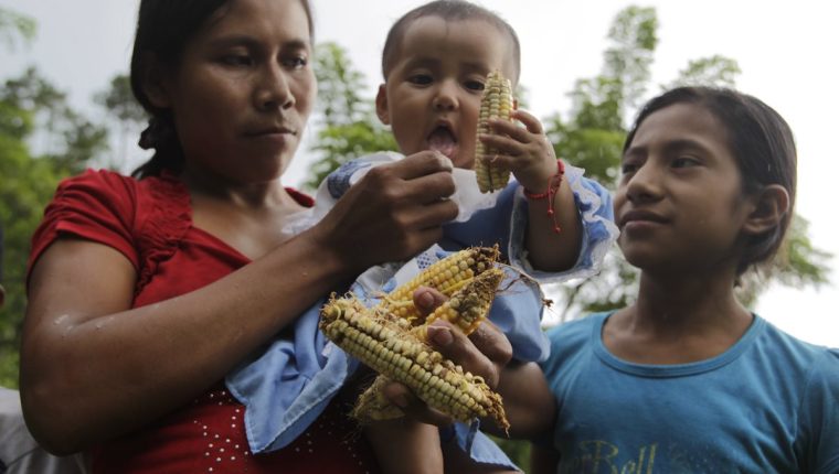 La desnutrición aguda podría agravarse debido a la pandemia del coronavirus. (Foto Prensa Libre: Hemeroteca PL)
