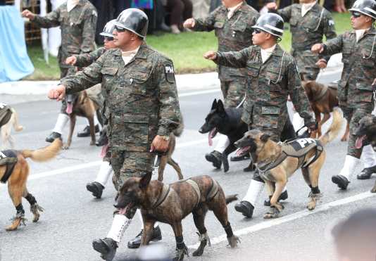 Unidades caninas del Ejército de Guatemala a su paso por la Avenida Reforma, zona 9. Foto Prensa Libre: Esbin García
