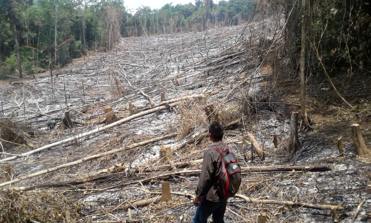 Seis grupos de usurpadores destruyen el Parque Nacional Laguna Lachuá y cobran Q600 por acceso a tierra, dice Inab